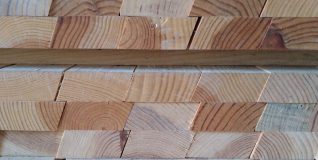 Claire-voie-Pin-1-scaled