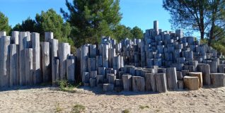 250234257_4668368736555774_3601084767743100223_n