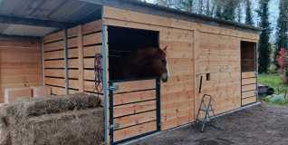 433104687_2362893397434584_1289244992771518140_n